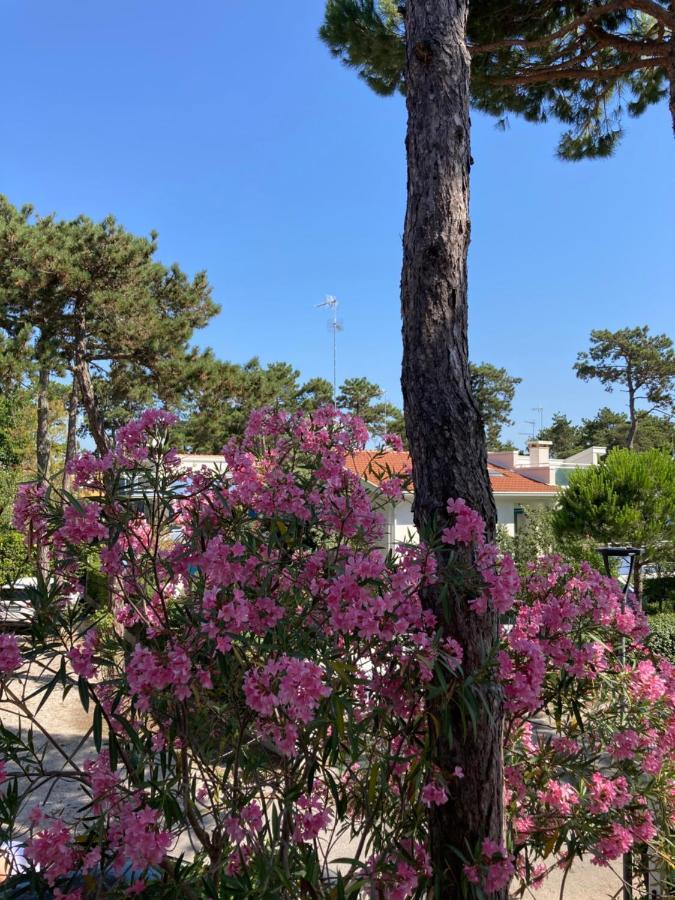 Villa Vittoria لينانو سابيادورو المظهر الخارجي الصورة